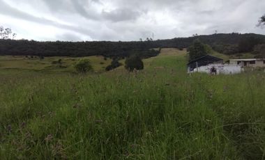 finca en venta en la aurora. Cod V1801