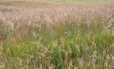 finca en venta en la aurora. Cod V1801