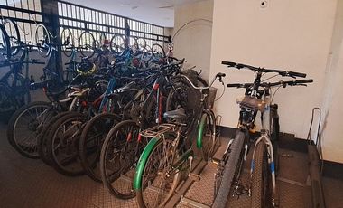 LAS VIOLETAS / RICARDO LYON