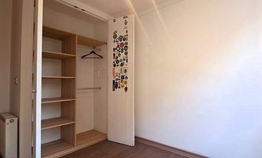 LAS VIOLETAS / RICARDO LYON