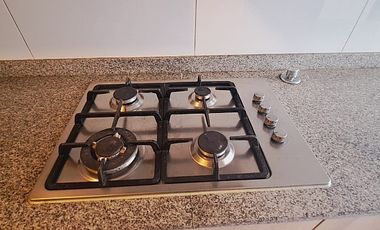 LAS VIOLETAS / RICARDO LYON