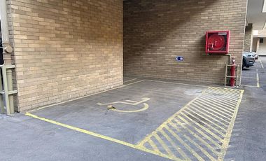 LAS VIOLETAS / RICARDO LYON