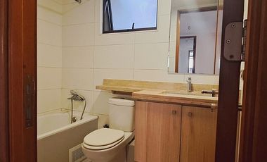 LAS VIOLETAS / RICARDO LYON