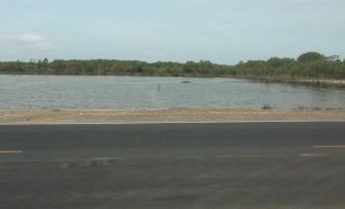 Tanah di Raya Manyar Gresik