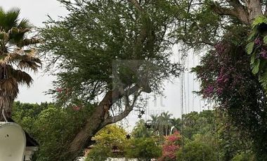 Ticumán Morelos, 4,000m2 de Libertad, Jardín Árboles y Contemplación Venta