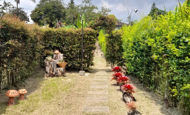 finca en venta en finca villa rosita. Cod V14020