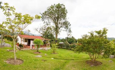 finca en venta en finca villa rosita. Cod V14020