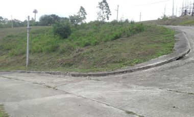 Overlooking Corner Lot 290 Sqm for Sale in Greenwoods near Talamban Cebu City with Mountain View