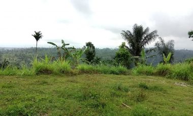 sale land view jungle in payangan near ubud bali