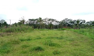 sale land view jungle in payangan near ubud bali