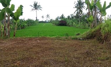 sale land view jungle in payangan near ubud bali