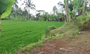 sale land view jungle in payangan near ubud bali