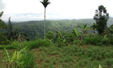 sale land view jungle in payangan near ubud bali