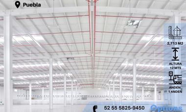 Incredible industrial warehouse in Puebla for rent