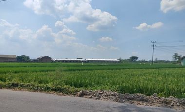 Dijual Rumah Di Dekat Stadion Trikoyo Klaten