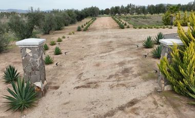 ULTIMO TERRENO DE 3267 M2 EN PRIVADA CON SEGURIDAD 24 HRS. EN VALLE DE GUADALUPE