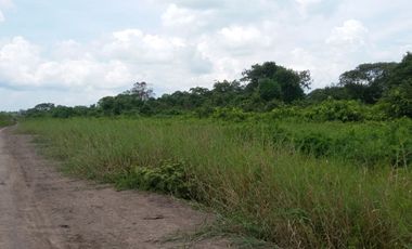 Dijual Lahan Kosong 18,000 Hektar Untuk Kebun Kelapa Sawit