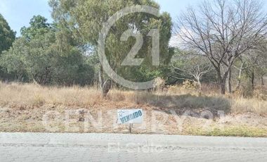 JUNTO AL COLEGIO TERESIANO