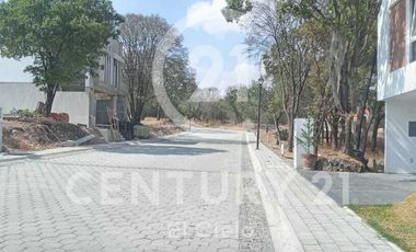 JUNTO AL COLEGIO TERESIANO