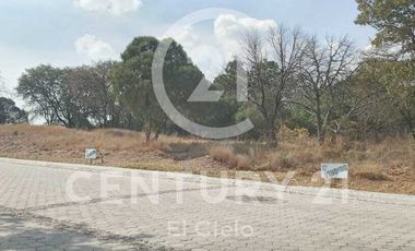 JUNTO AL COLEGIO TERESIANO