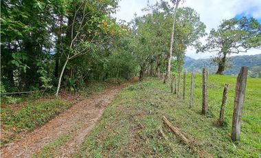 VENDO LOTE DE 6600M2 DERECHO POSESORIO ROVIRA