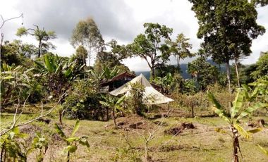 VENDO LOTE DE 6600M2 DERECHO POSESORIO ROVIRA