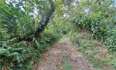 VENDO LOTE DE 6600M2 DERECHO POSESORIO ROVIRA