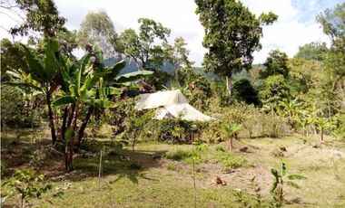 VENDO LOTE DE 6600M2 DERECHO POSESORIO ROVIRA
