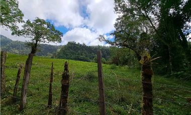 VENDO LOTE DE 6600M2 DERECHO POSESORIO ROVIRA