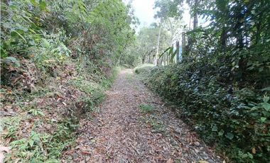 VENDO LOTE DE 6600M2 DERECHO POSESORIO ROVIRA