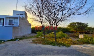 🌟 ¡OPORTUNIDAD ÚNICA EN PIURA! 🌟

Te presentamos un exclusivo terreno  ideal para construir la casa de tus sueños. 

Ubicado en la EXCLUSIVA URBAN