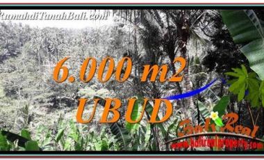 Tanah Murah di Ubud Bali 60 are View Sawah tebing dan Sungai