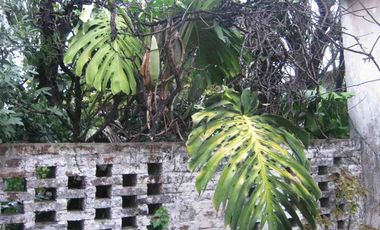 Casa en venta en Piñeyro