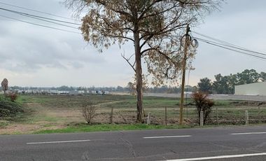 Terreno en renta por salida a Calvillo AGS