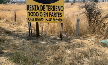 Terreno en renta por salida a Calvillo AGS