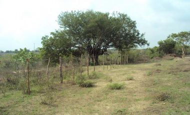 finca en venta en santo tomas. Cod V3856