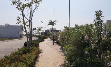 Casa en venta 4 recámaras una en P.B. Fracc. Palmas Green, Medellín de Bravo,Ver