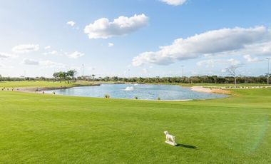 Terreno en venta en Club de Golf Provincia, Mérida Yucatán