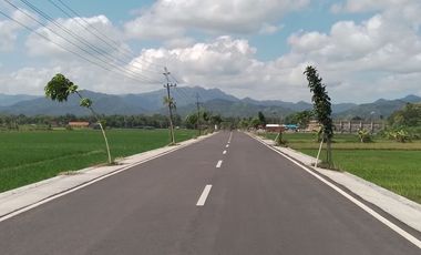 Tanah Purworejo, SHM, Dekat Alun Alun