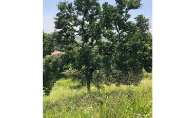 Venta Ultimos  Lotes Laguna Seca via Cali Yumbo