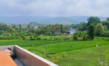 Villa Cantik With Swimming Pool Full Furnished At Lovina Bali