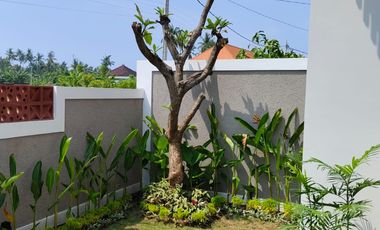 Villa Cantik With Swimming Pool Full Furnished At Lovina Bali