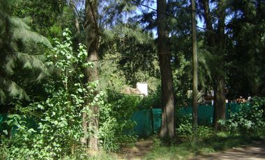 Lote Terreno en venta B El Casco Gral. Rodriguez Piccardo.