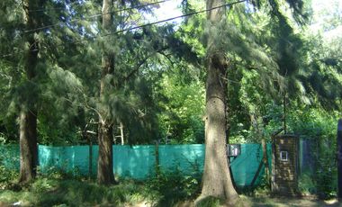 Lote Terreno en venta B El Casco Gral. Rodriguez Piccardo.