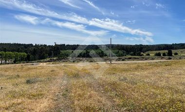 Sitio en Venta en Angol Villa Trinte
