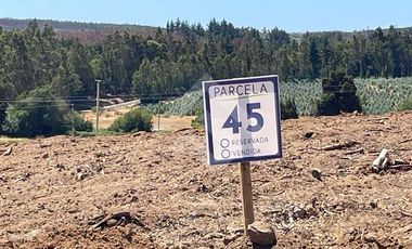 Sitio en Venta en Angol Villa Trinte