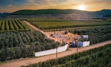 Parcela en Venta en Parcela en Fundo Los Olivos de Quepo