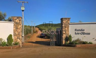 Parcela en Venta en Parcela en Fundo Los Olivos de Quepo