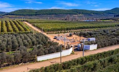 Parcela en Venta en Parcela en Fundo Los Olivos de Quepo