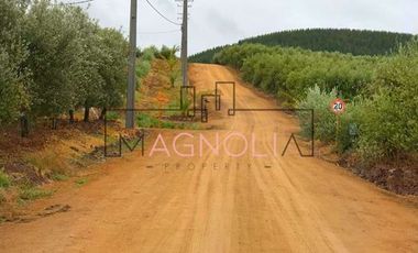 Parcela en Venta en Parcela en Fundo Los Olivos de Quepo